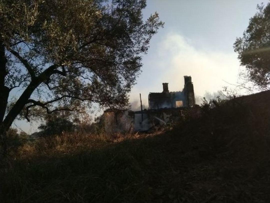 Zeytin Arazisinde &Ccedil;ıkan Yangın Korkuttu