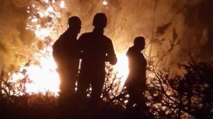 Bolu&rsquo;daki Orman Yangını Kontrol Altına Alındı