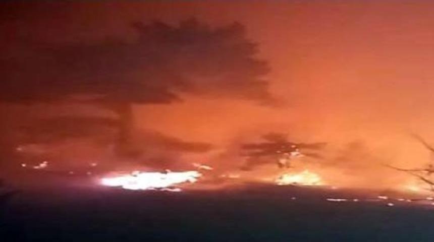 Gerede'de Orman Yangını