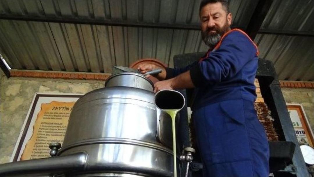 200 Yıllık Taş Baskıda Zeytin S&uuml;t&uuml; &Uuml;retiyor...(&ouml;zel Haber)