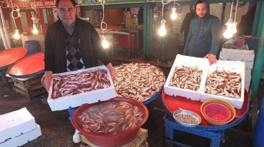 Bandırmalı Balık&ccedil;ıların Barbun Sevinci...(&ouml;zel Haber)