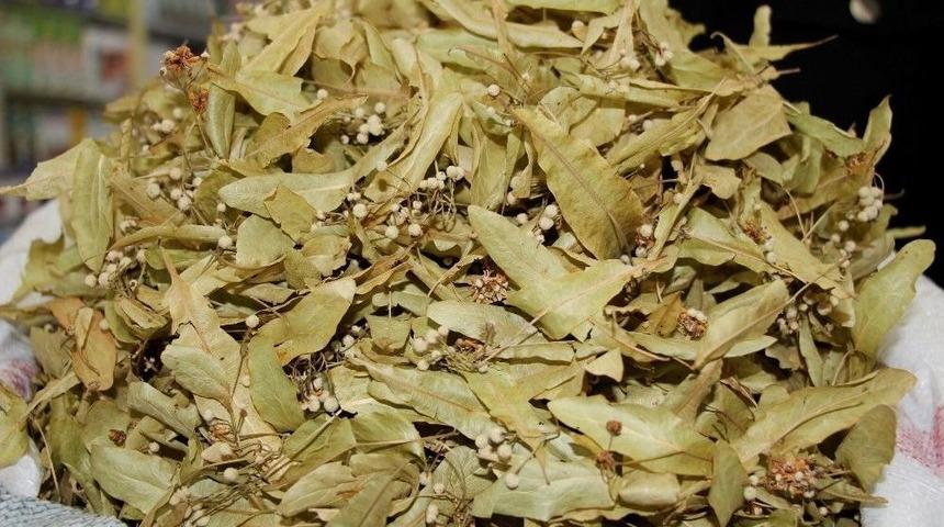 Kış Bitti, Ihlamur Satışları D&uuml;şt&uuml;