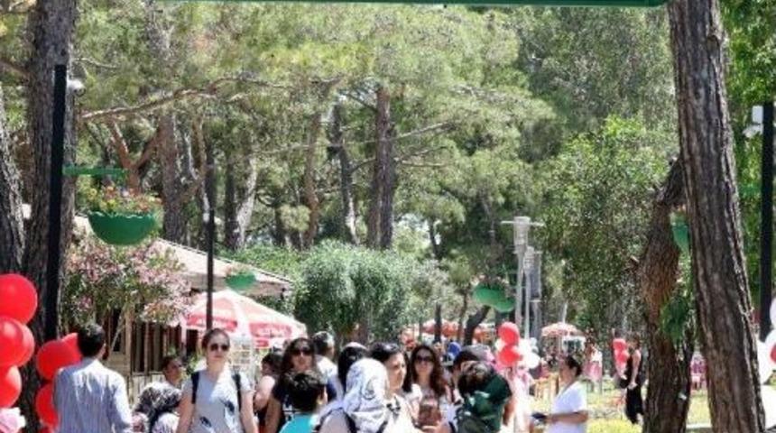 Antalya&rsquo;ya 3 Yeni Kadınlar Plajı Daha Geliyor