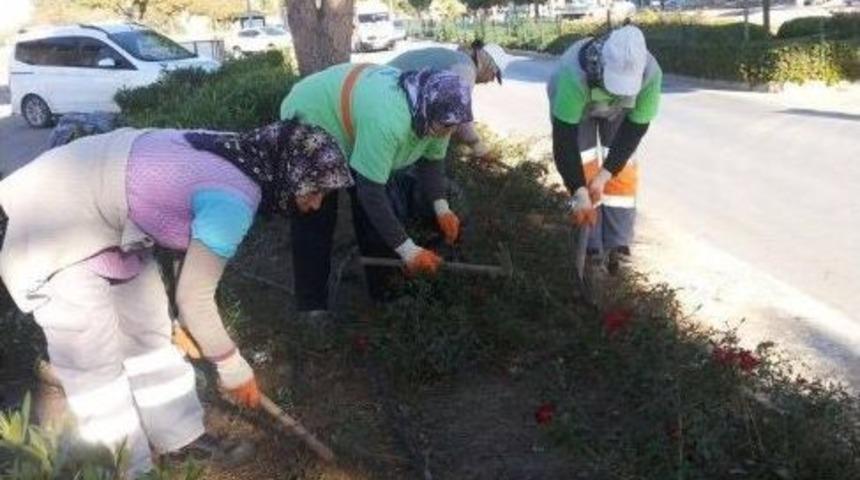 Didim&rsquo;de Kış Temizliği