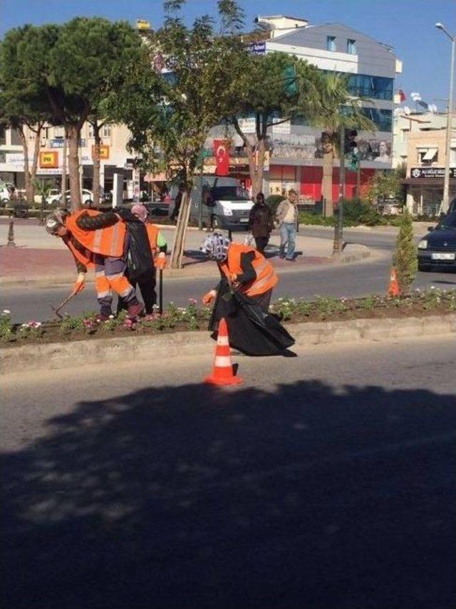 Didim’de Kış Temizliği