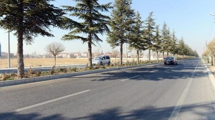 Saray&ouml;n&uuml;&rsquo;ne 6 Milyonluk Ana Cadde Yatırımı