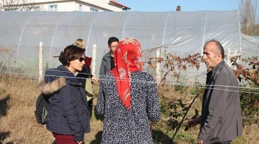 Tarım Personeline &rsquo;tarımsal İşletme Danışmanlığı&rsquo; Eğitimi