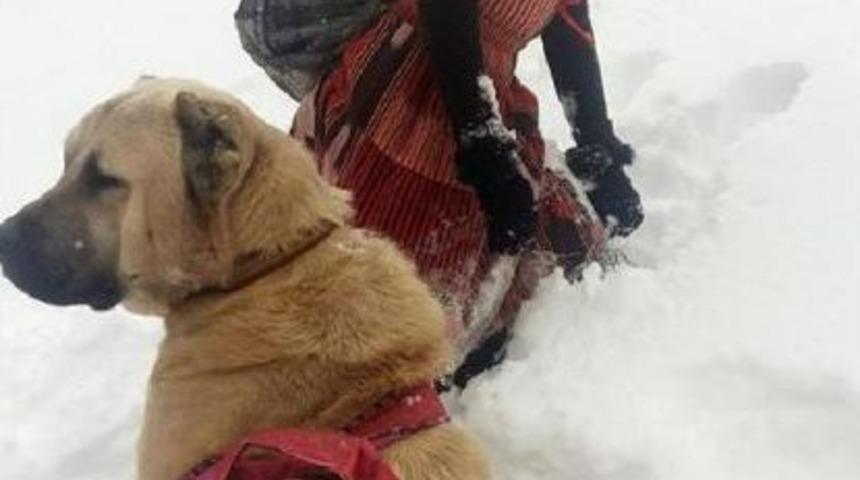 Hamdu Sena&rsquo;Ya &Ouml;zel Davet