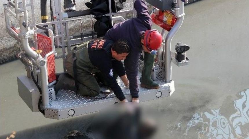 İzmir&rsquo;de Derede Ceset Bulundu