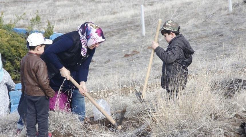 Yunak&rsquo;ta Fidanlar Toprakla Buluştu