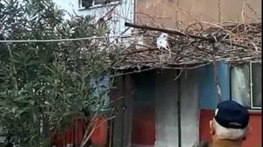 Prizde Unutulan Elektrikli Battaniye Yangın &Ccedil;ıkardı