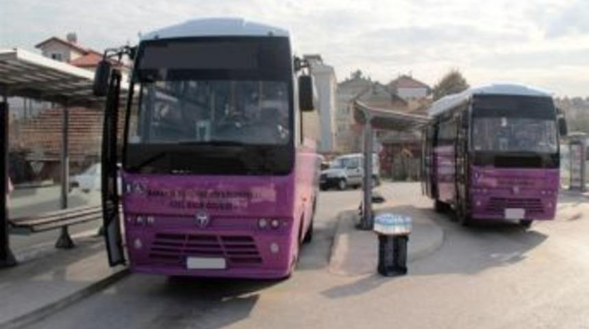 Toplu Taşımaya 12 Yeni Araç Daha