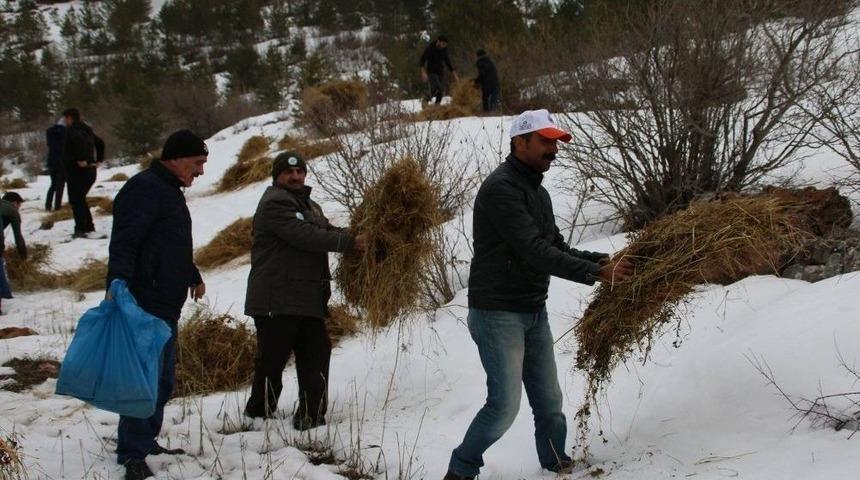 G&uuml;m&uuml;şhane&rsquo;de D&uuml;nya Yaban Hayatı G&uuml;n&uuml; Kutlandı