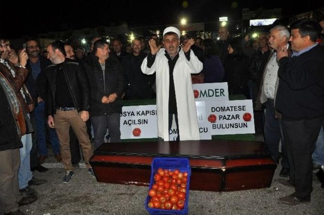 Antalya&rsquo;da &Ccedil;ift&ccedil;iler Domatesin Cenazesini Kaldırdı