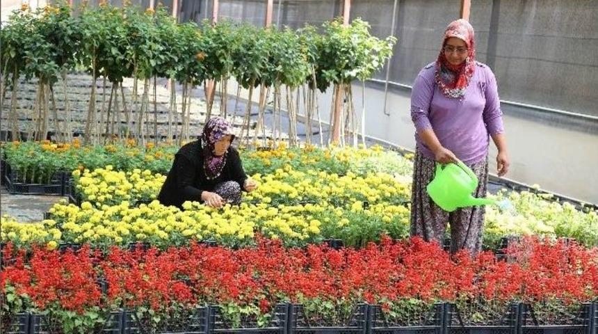 D&ouml;şemealtı Belediyesi Kendi Bitki Ve &Ccedil;i&ccedil;eğini &Uuml;retiyor