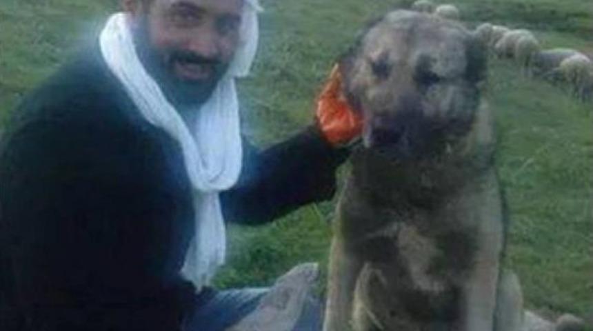 &Ccedil;obanlık Yaparken Parti Kurdu, 60 Ilde &Ouml;rg&uuml;tlendi