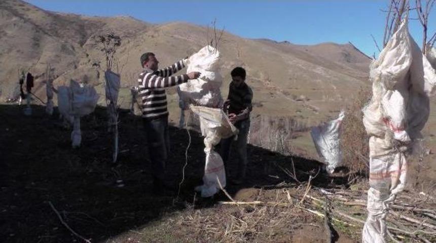 Tavşanlarla &Ccedil;uvallı M&uuml;cadele