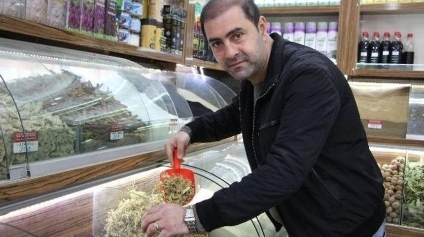 Fiyatına Rağmen Ihlamur Rağbet G&ouml;r&uuml;yor