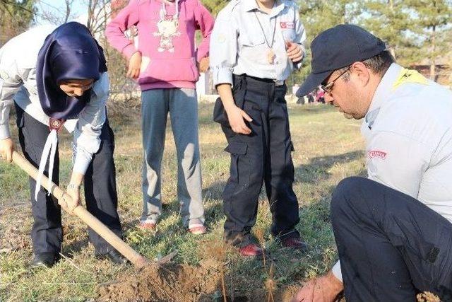 Minik İzciler Fidan Dikti