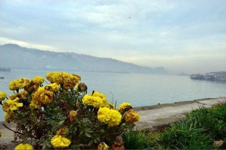 Zonguldak’ta Hava Kalitesi ‘hassas’ Seviyede G2