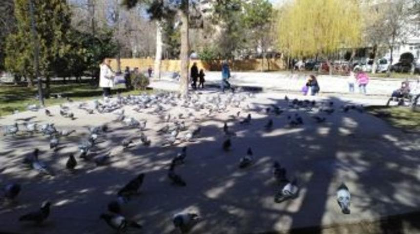 Eskişehir&rsquo;de &Ccedil;ocuklar Parklara Koştu