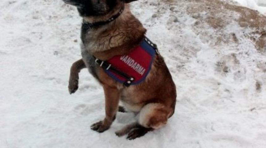 G&ouml;&ccedil;&uuml;k Altında Kalanların Umudu &rsquo;ferda&rsquo;