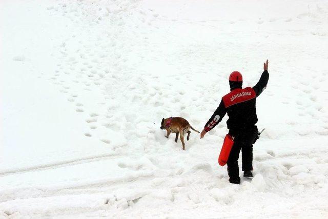 Göçük Altında Kalanların Umudu ’ferda’