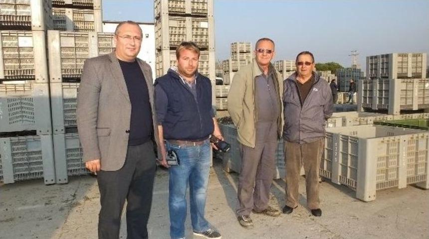 Burhaniye&rsquo; De Fabrikalar Zeytinle Doldu Taştı