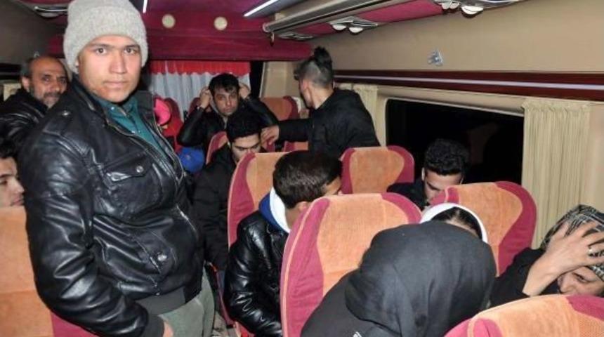 Ayvacık'ta Ormanda 44 M&uuml;lteci Yakalandı