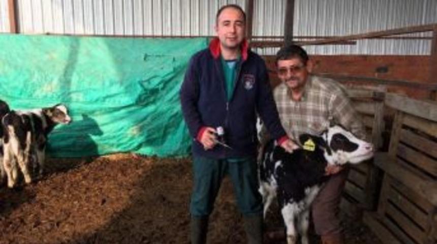 İlkbahar Şap Aşılamaları Devam Ediyor