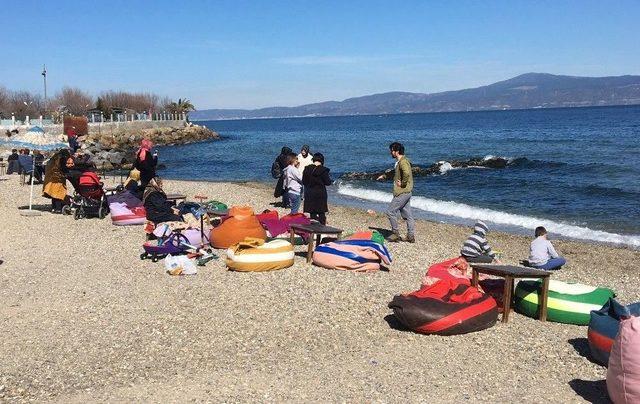 Güneşi Gören Ağaçlar Çiçek Açtı