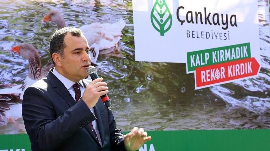 Maltepe &Ouml;rdekli Park&rsquo;la Yeniden Canlandı