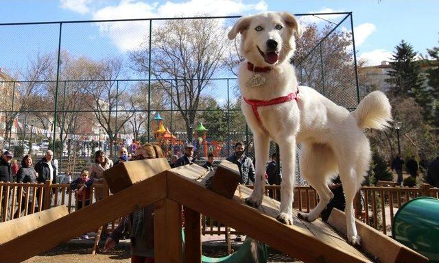 Maltepe Ördekli Park’la Yeniden Canlandı