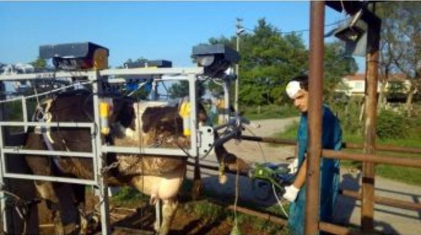 Uzun Tırnaklar Topal Yapıyor