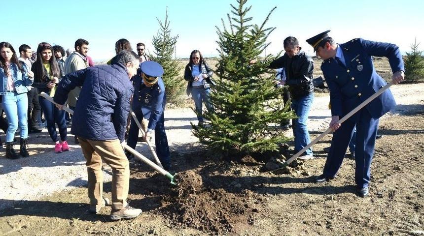 Eskişehir&rsquo;de Y&uuml;zlerce Fidan Toprakla Buluştu