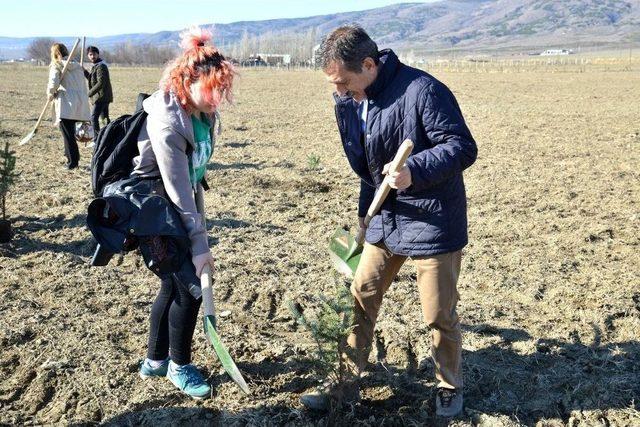 Eskişehir’de Yüzlerce Fidan Toprakla Buluştu