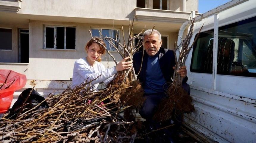 &Uuml;z&uuml;me Alternatif Siyah İncir