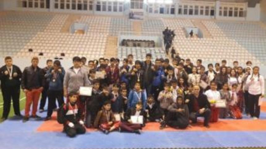 Hatay B&uuml;y&uuml;kşehir Belediyesi Kick Boksta Şampiyon