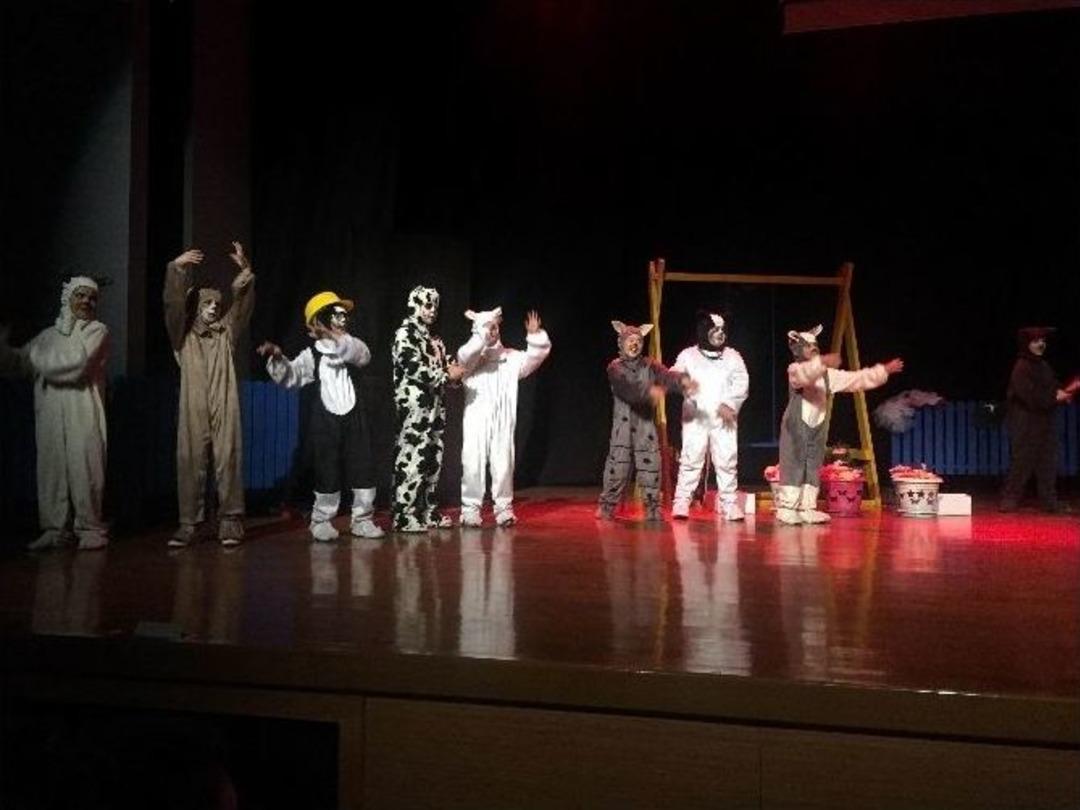 Minikler Oynadı, B&uuml;y&uuml;kler Coştu