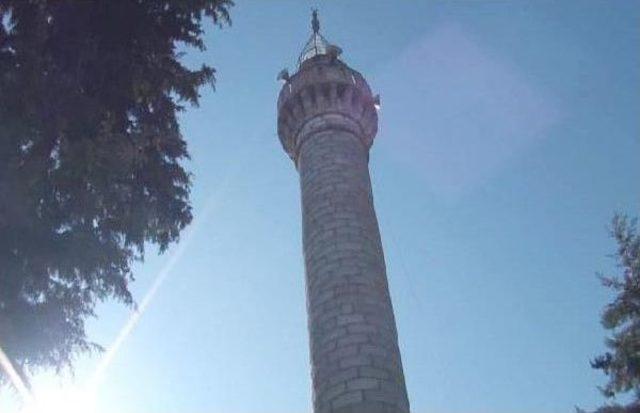 Tilki Minaredeki Hoparlör Kablolarına Zarar Verdi