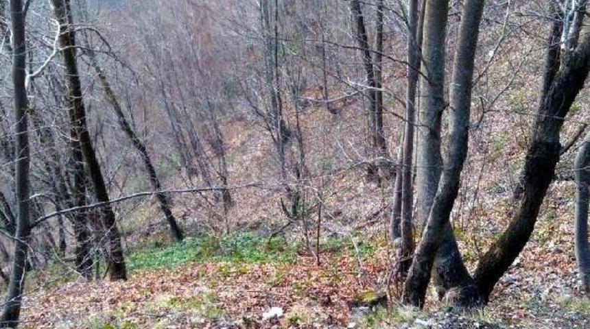 Bisikletle 70 Metrelik Uçuruma Yuvarlanan Üniversiteli Yaralandı