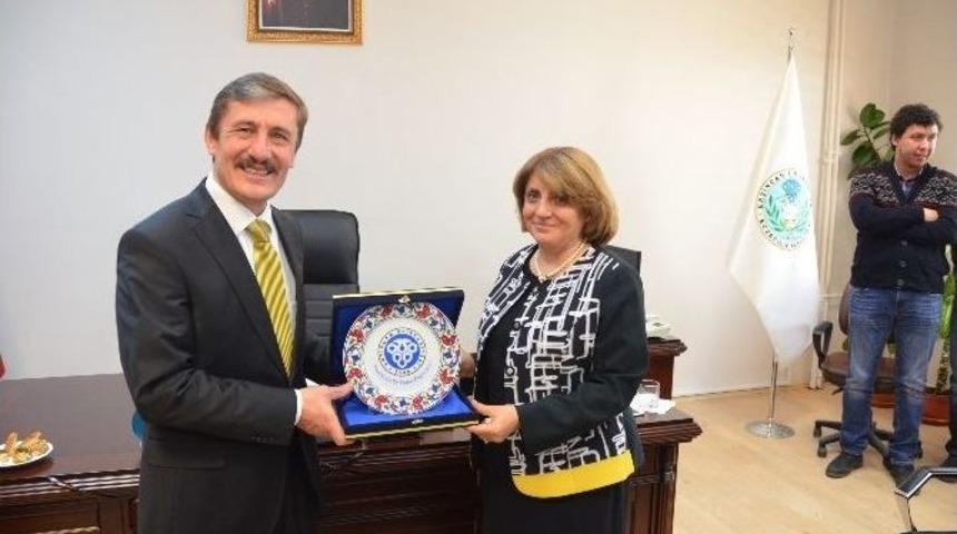 Eczacılık Fak&uuml;ltesinde G&ouml;rev Değişimi