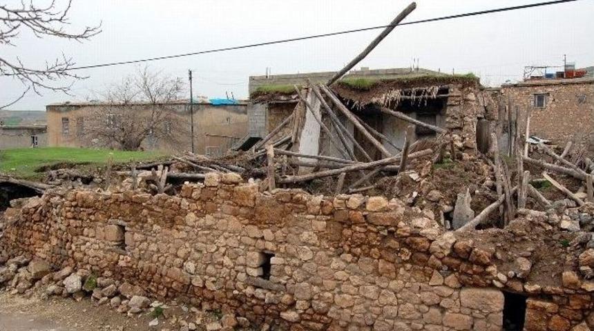 &Ouml;renli Mahallesi Sakinlerini Korku Sardı