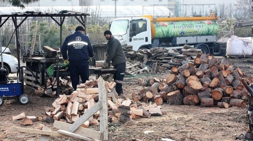 Ağa&ccedil; Dalları Y&uuml;zlerce Aileyi Isıttı