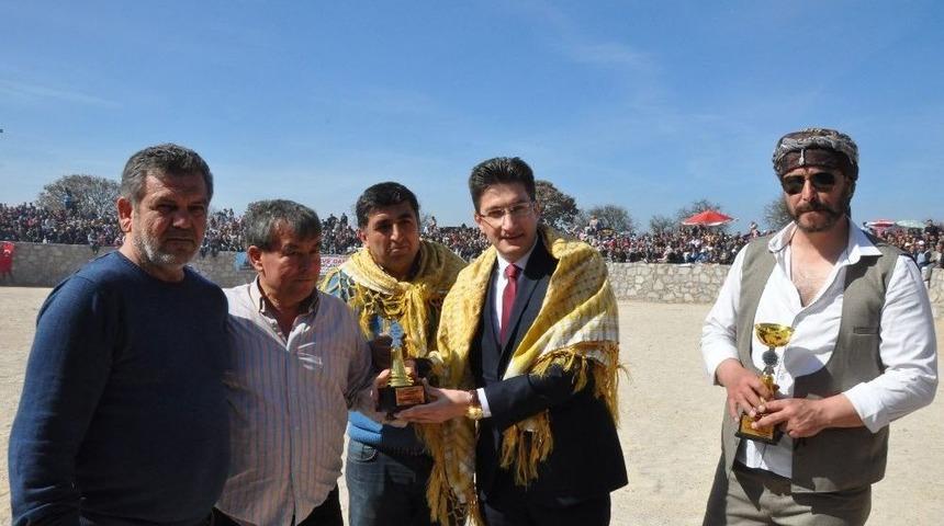 Ayvacık&rsquo;ta Develer Depremzedelere Moral İ&ccedil;in G&uuml;reştirildi