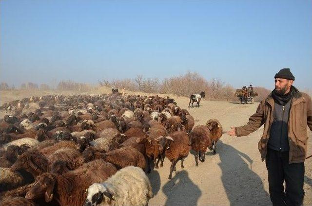 Kanalizasyon Karışan Su Kanalı Tehlike Saçıyor