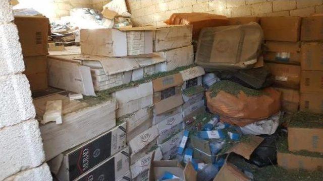 Hakkari'de 1 Milyon Paket Kaçak Sigara Ele Geçirildi