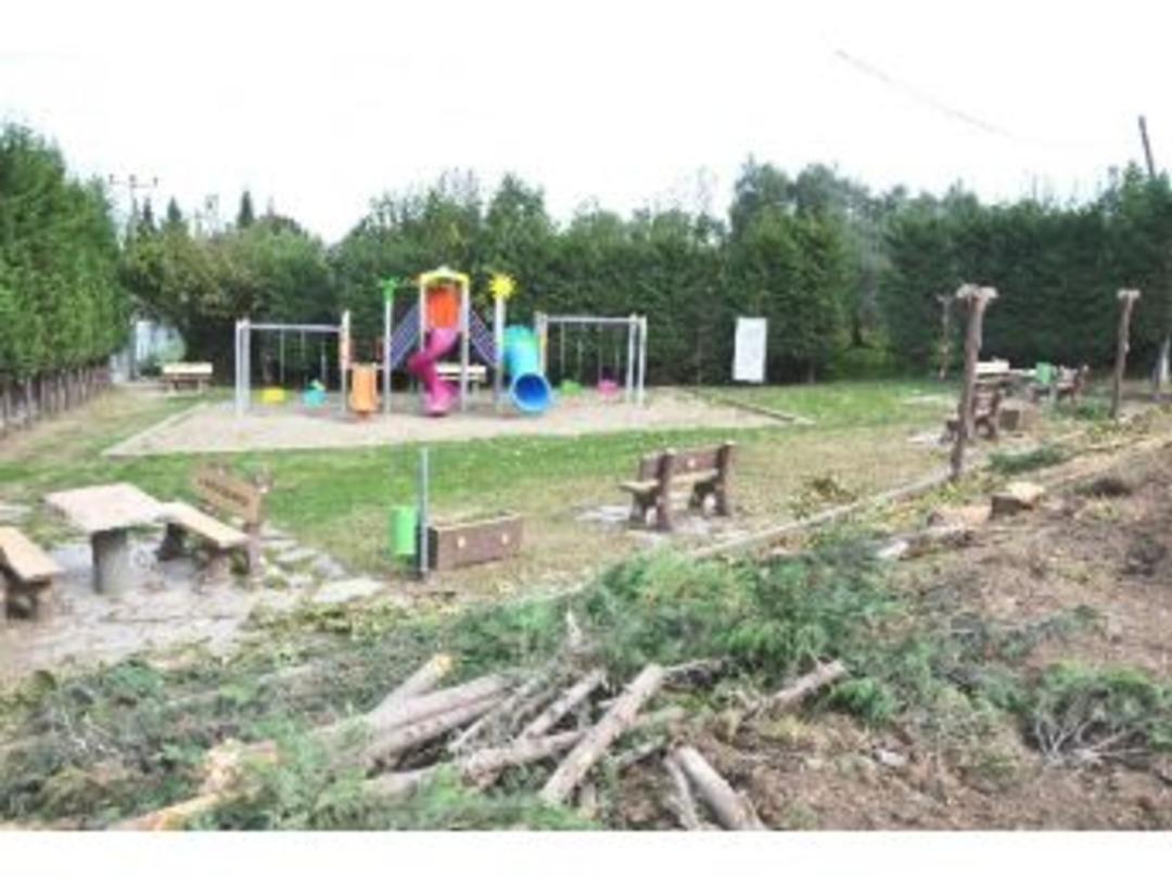 Parklara Kış Bakımı