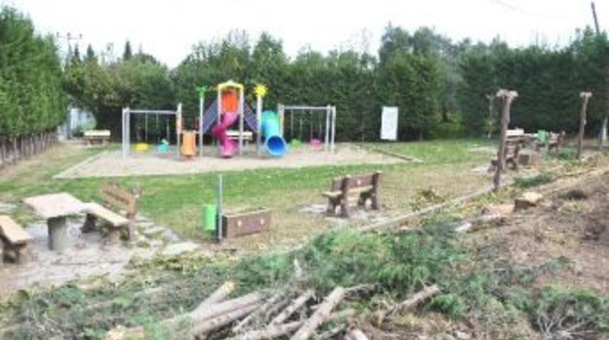 Parklara Kış Bakımı