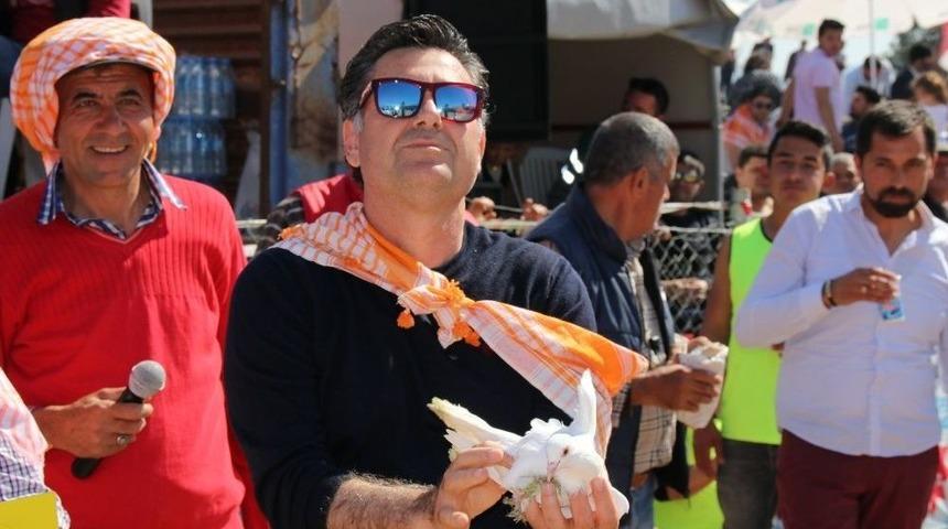 Bodrum&rsquo;da Deve G&uuml;reşi Festivali